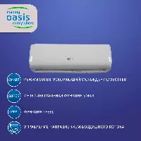 Oasis O-24